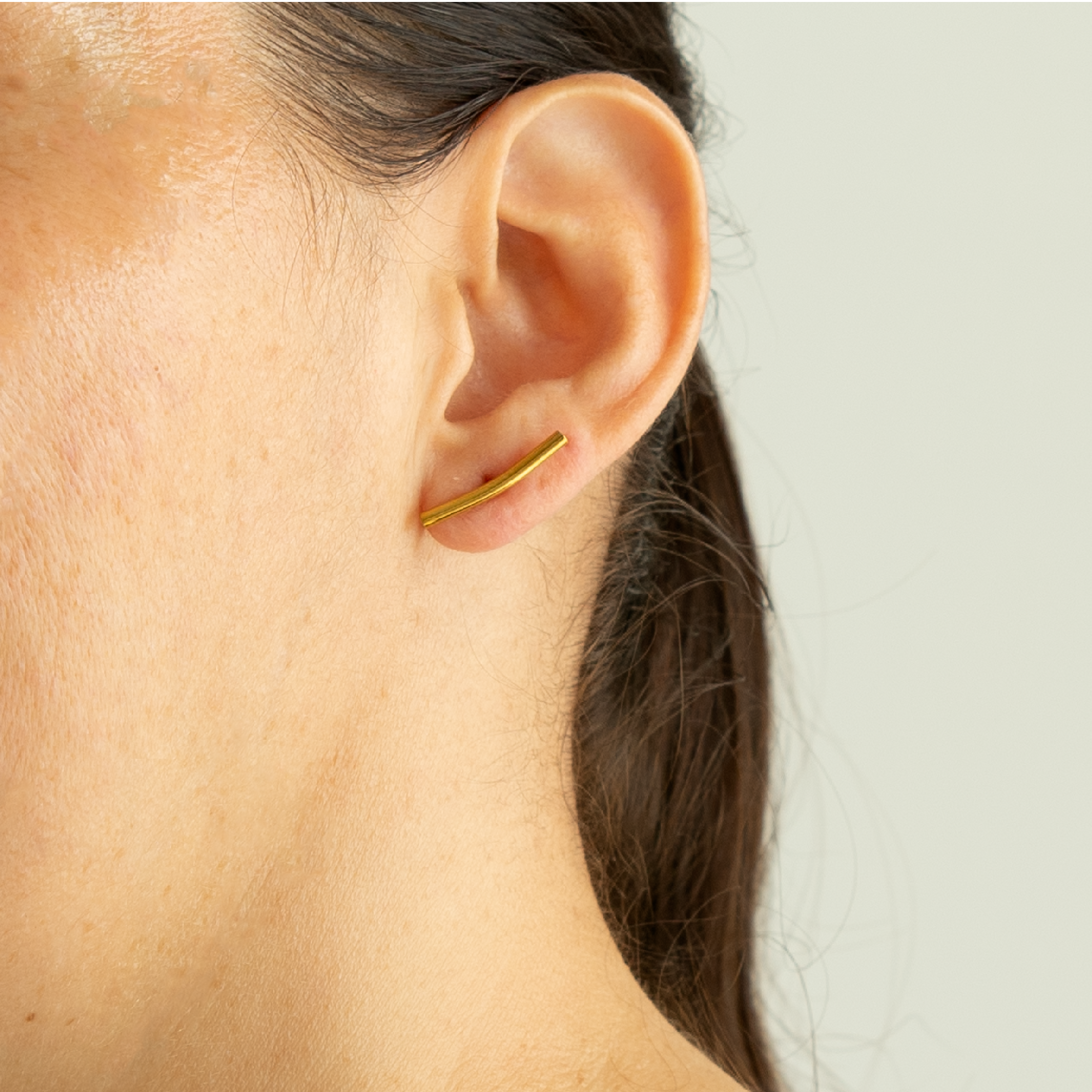 ARETES CARMELI