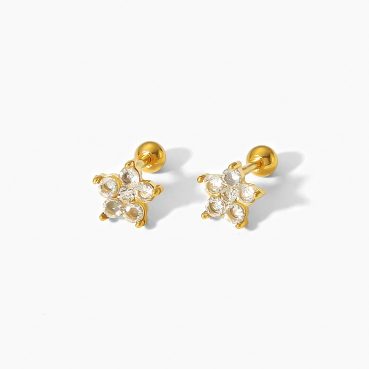 Aretes Mira